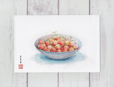 楽天市場 基礎静物画 サクランボ ポストカード 絵葉書 絵はがき 静物画 夏のお便り さくらんぼ フルーツ くだもの 果物 水彩画 タニムラ ポストカード ストア