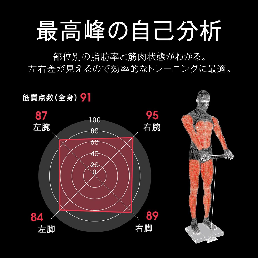 タニタ 体組成計 部位別 日本製 RD-804L-BK 筋肉の質が分かる 医療分野