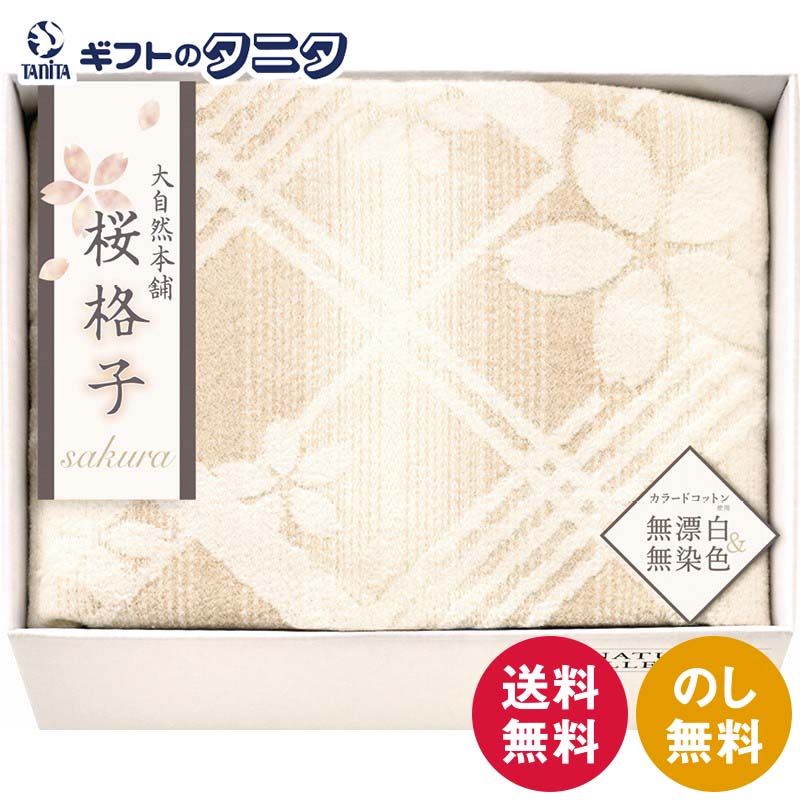 楽天市場】【国産 無着色】綿 毛布 DearJapan シングル アイボリー