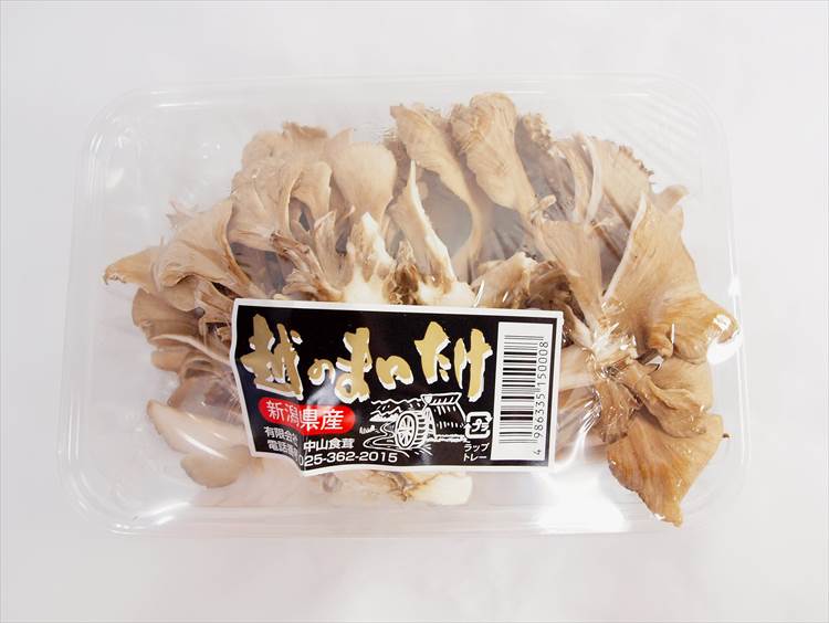 まいたけ 55000円お値下げしました ぬ Kawasaki ZX14 Ninja / ZZR1400 MSS