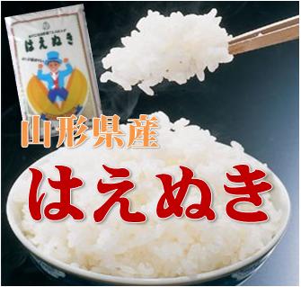 楽天市場】令和7年産山形県産はえぬき 1等 玄米 30kg : 丹野商店