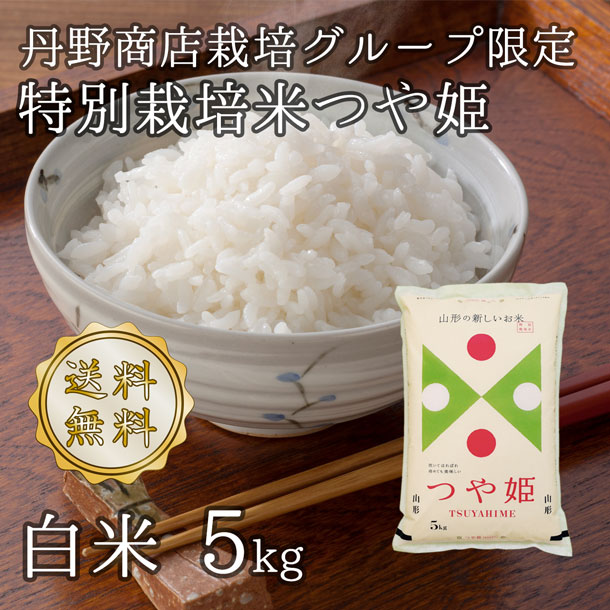令和6年山形県河北町産 <br>つや姫 白米5kg<br>