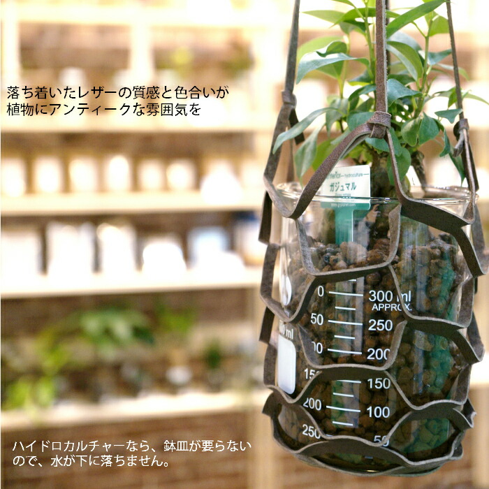 楽天市場 プラントハンガー レザー 観葉植物 ハイドロカルチャー 向き タノシミドリ