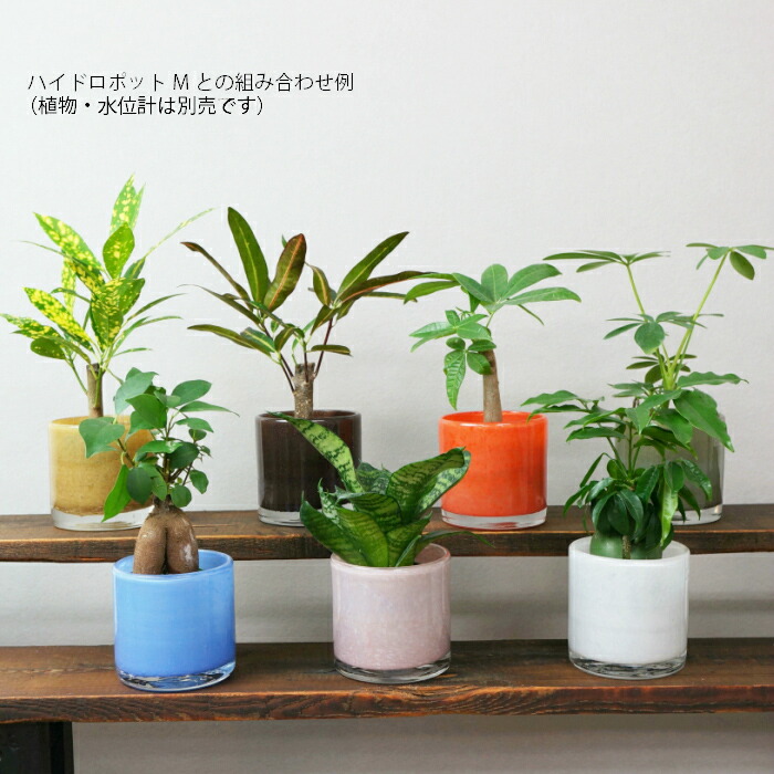 楽天市場 器 ミスティラウンド 観葉植物 ハイドロカルチャー 向き タノシミドリ