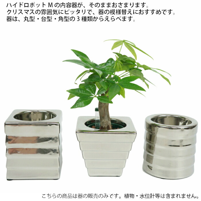 楽天市場 器 ミラー60 観葉植物 ハイドロカルチャー 向き タノシミドリ