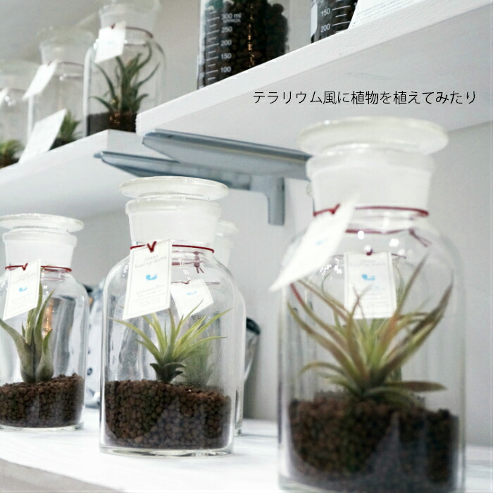 楽天市場 器 メディスンボトル 試薬瓶 500ｍｌ 観葉植物 ハイドロカルチャー 向き タノシミドリ