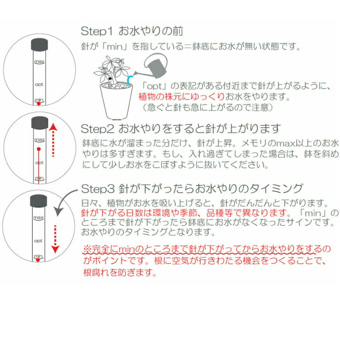 観葉植物 パキラ シェフレラ サンスベリア ほか いろいろ選べる ミスティラウンド 植物セット 水位計付き ハイドロカルチャー Korkmazmauritius Com