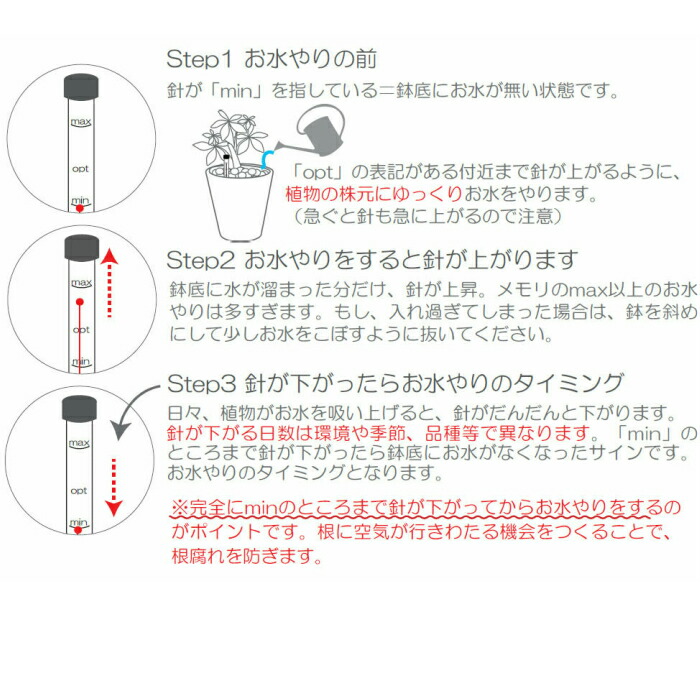 観葉植物 ハイドロカルチャー パキラ シェフレラ サンスベリア ほか いろいろ選べる ミスティキューブ植物セット 水位計付き Amedf Com Br