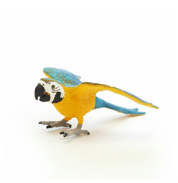 シュライヒ ワイルドライフ スミレコンゴウインコ フィギュア 14689 i8my1cf 楽天市場】スミレコンゴウインコ 14859 動物 鳥 インコ