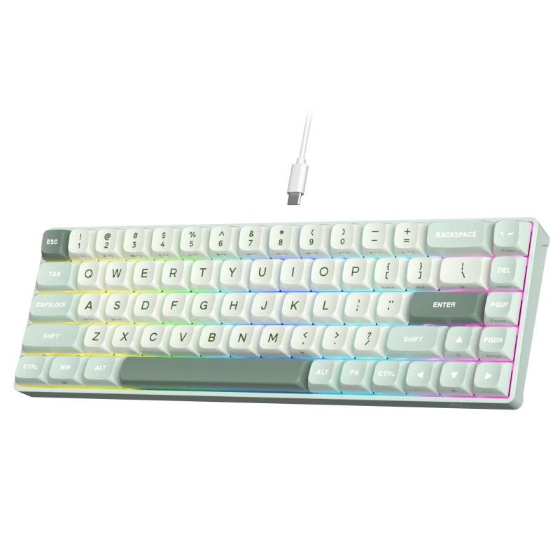 RK ROYAL KLUDGE C68 大広間効果 力学的 ゲーミングキーボード 65% HE磁気取り替えっこ 有線RGB鍵盤 熱っぽいつけ替える能力のある ラピッド銃の引き金 自然調整能力のあるな稼動 8Kポーリング単位料金 Pro Webド