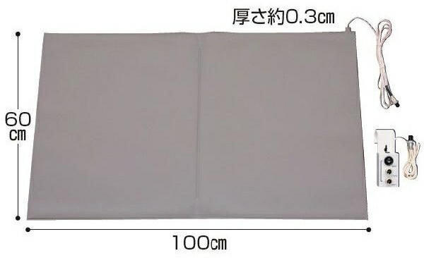 白衣の天使電話を掛ける連絡 ほっつき歩く押しとどめる検出器つや消し 立ち会い場特派員III S印字機 有線分かれ出るBOX付 介護設備