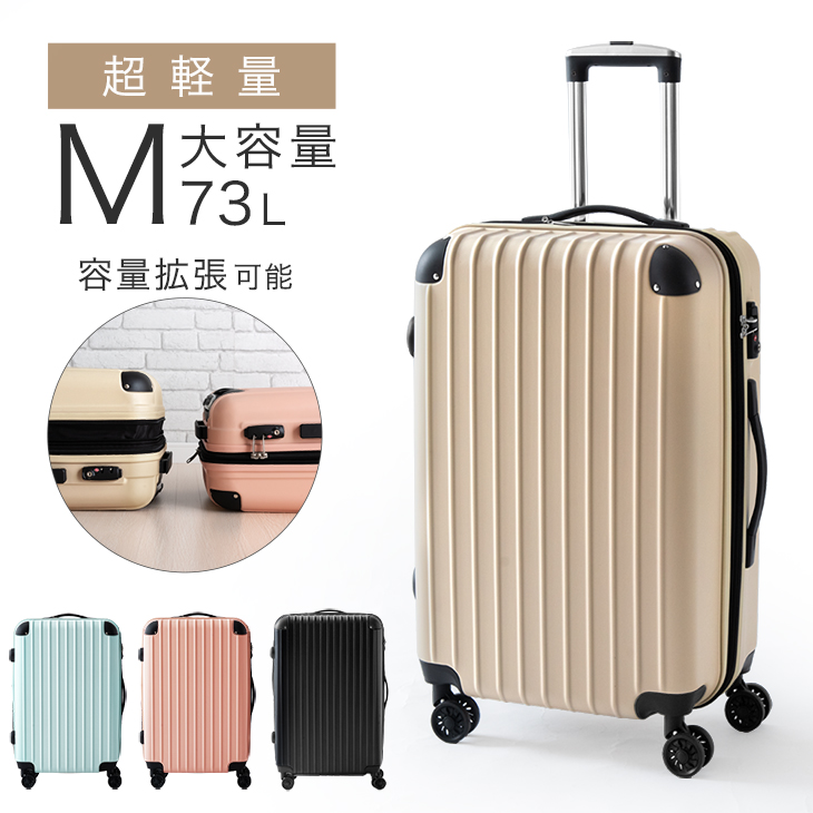 【楽天市場】【20時~クーポン5％引】 スーツケース Lサイズ 109L 