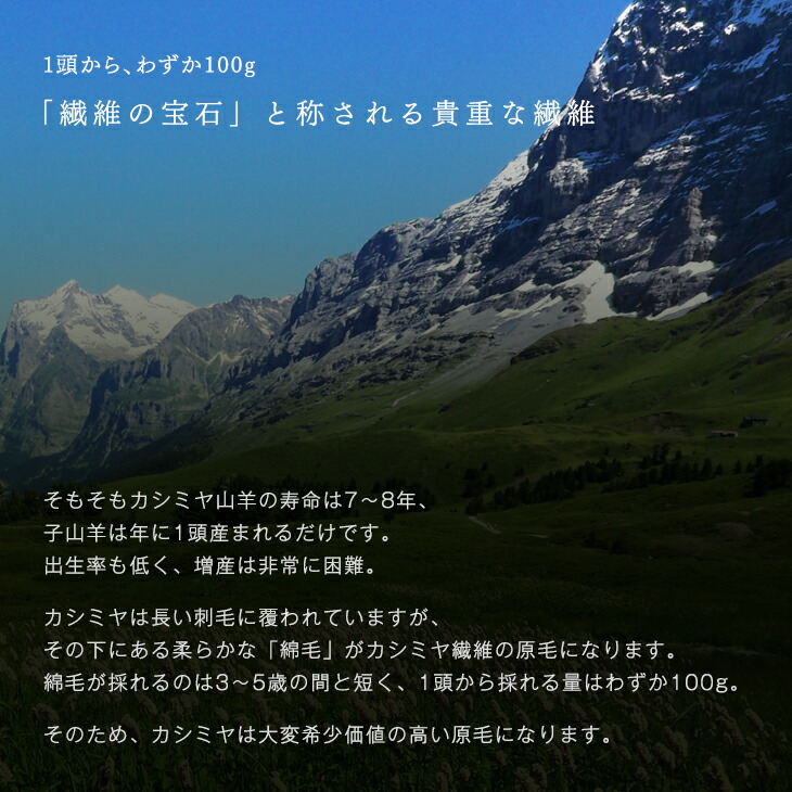 送料無料 オール カシミヤ 100 毛布 シングル 日本製 軽い 暖かい 軽量 純毛 カシミア ケット ブランケット 掛け毛布 もうふ ベージュ 冬用 寝具 国産 Onpointchiro Com