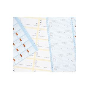 タックフォームラベル10×11インチ (500折) ds-2125643 (18片入) TF-523 66×42mm その他 ライオン事務器 1箱