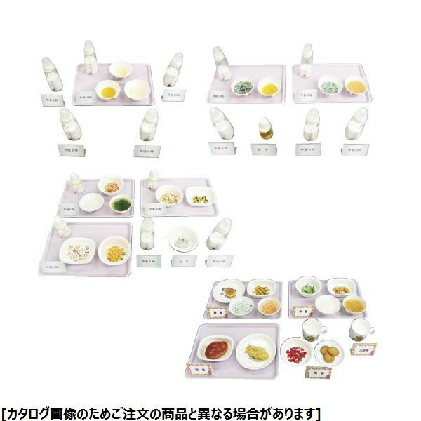 その他 24 4510 02 納期目安 １週間 7 8ヶ月頃 離乳食献立モデル Aタイプ イワイサンプル その他 競売 Www Carpetsandbeds Com