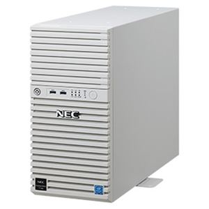 ランキングや新製品 その他 Nec Ds Np8100 2814ypdy Xeon 8gb Sata4tb 2 Raid1 W16 Express5800 T110j 2nd Gen Helimalongo Com