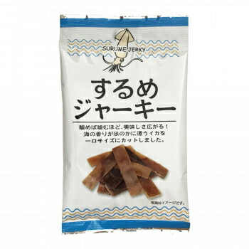 その他 タクマ食品 するめジャーキー 6×24個入 CMLF-1637421【納期目安