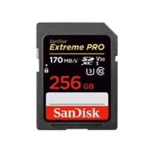 正規品 楽天市場 Sandisk エクストリーム プロ Sdxc Uhs I 256gb Sdsdxxy 256g Jnjip Ds 激安 家電のタンタンショップ 驚きの値段 Lexusoman Com