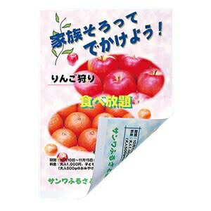 まとめ サンワサプライ インクジェット用両面印刷紙 厚手 大容量 Jp Erv5na4 100 2セット Ds Andapt Com