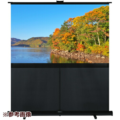 キクチ科学研究所 [SD-100HDWA/B] 床置きスクリーン 幕面ホワイト