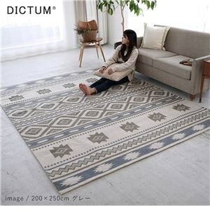 手洗い出来る ゴブランシェニールラグ 約200×250cm グレー DM-022 ds-2496815