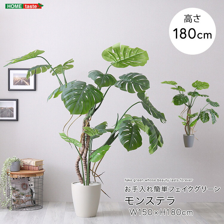 お手入れ簡単フェイクグリーン モンステラ Lサイズ(180cm) (グレー) ホームテイスト SH-06-MON-L-GY フェイクグリーン Lサイズ お手入れ簡単 グレー 鉢 中国製 インテリア ホームデコレーション 軽量 調整可能 装飾植物 ナチュラル インテリアグリーン グリーンアクセント｜タンタンショップ