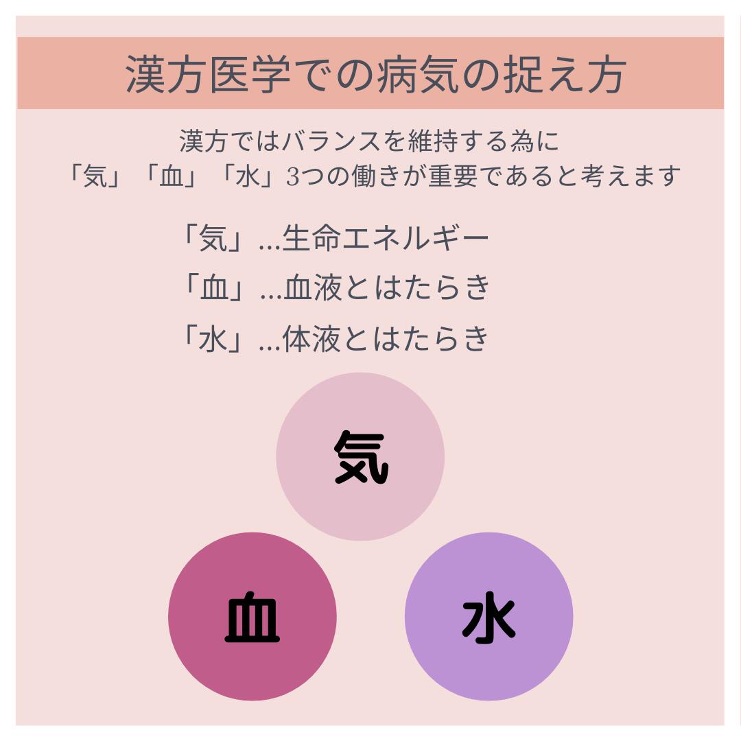 エキス錠 第二類医薬品 送料無料 気力 補中益気湯 ホチュウエッキトウ 滋養強壮 医薬品 体力に不安のある方に 倦怠 病後 240錠 食欲不振 食欲が落ちた方 第２類医薬品 新潟の生薬漢方薬店 X 大峰 肉体疲労 衰弱 虚弱体質 漢方薬 寝汗 40日分 膽肚羅丸本舗