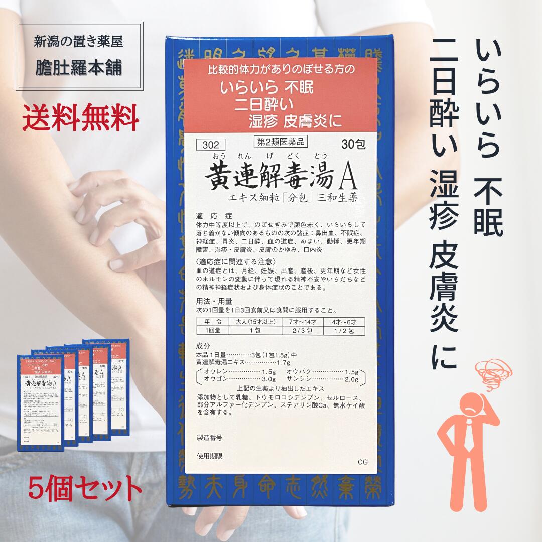 ベンチ 収納付 【第2類医薬品】単品よりも30％お得！ウチダ和漢薬 黄連湯エキス細粒（おうれんとう） 500g×12個セット 通販 