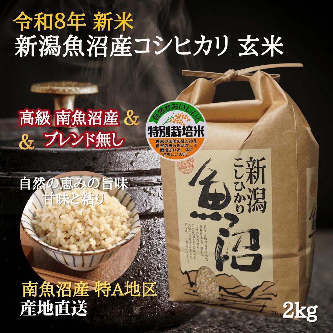 食品 お米20kg 令和2年魚沼産コシヒカリ玄米