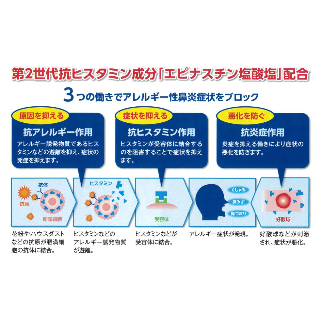 本日ポイント最大13倍 鼻炎薬 眠くなりにくい 1日1錠 就寝前で効く 花粉 薬 エピナスチン塩酸塩 配合 トキワ アレブロック 12錠x10個 アレルギー専用鼻炎薬 ハウスダスト 薬 鼻のアレルギー くしゃみ 鼻水 鼻づまり 常盤薬品 第2類医薬品 錠剤 Prescriptionpillsonline Is