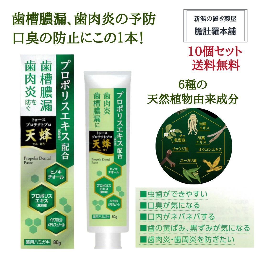 本日最大ポイント11倍! 薬用はみがき 歯磨き粉 トゥースプロテクトプロ 天蜂 X 10個 プロポリス入 天然植物由来 歯槽膿漏予防 歯肉炎予防 口臭防止 80g 医薬部外品 送料無料 P9|新潟の生薬・漢方薬店 膽肚羅本舗