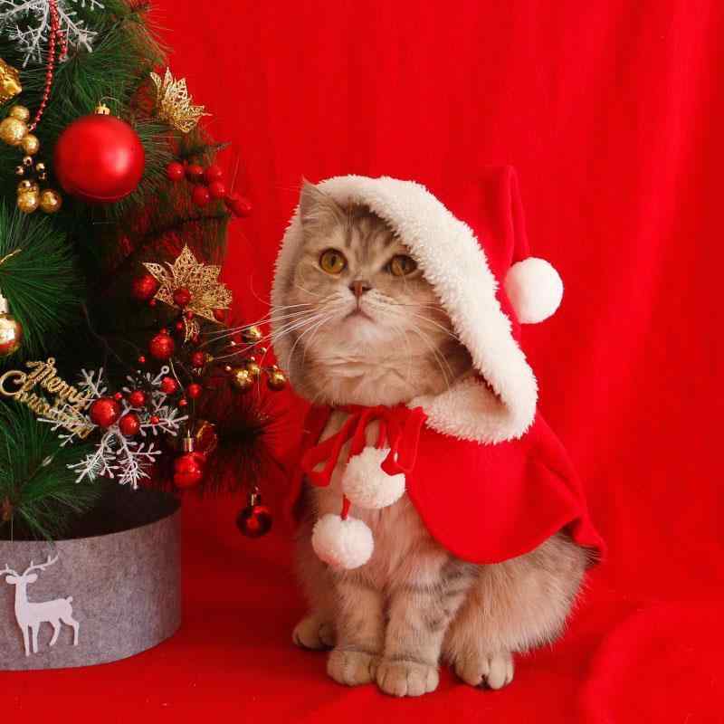 ペット服 猫 犬 クリスマス マント ポンチョ 秋冬 防寒 保温 ショール かわいい おもしろ コスプレ 写真