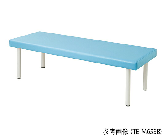 カラフル診察台(ベッド高さ500mm) スカイブルー 4589638301827