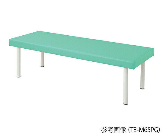カラフル診察台（ベッド高さ500mm）　ライトグリーン　4589638301858