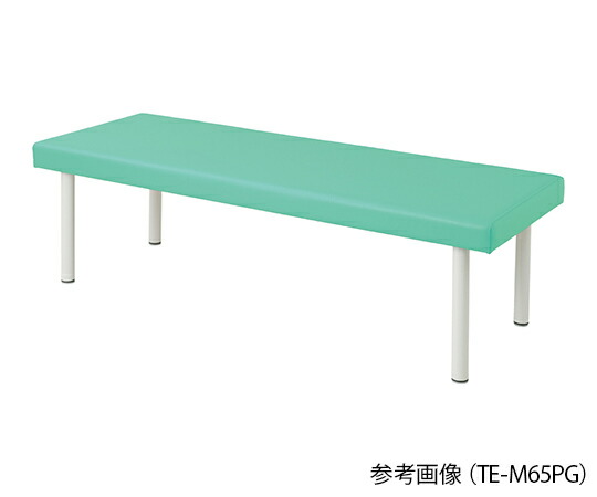 カラフル診察台（ベッド高さ550mm）　ライトグリーン　4589638302060