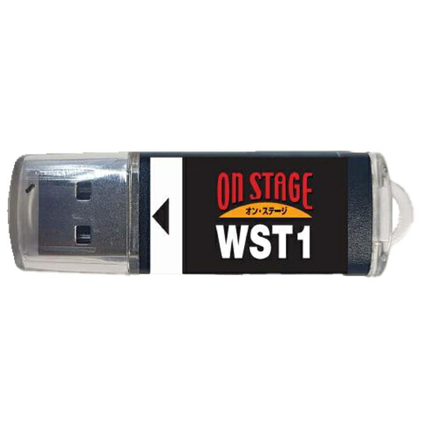 wst1.jpg