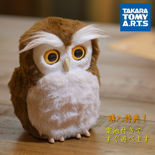 【電池付き】タカラトミーアーツ 開運アドバイザー ハッピーふくろう　梟 フクロウ ふくろう