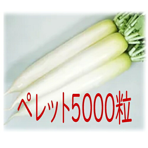 【入荷次第出荷】カネコ種苗　春名人　大根　ペレット５０００粒