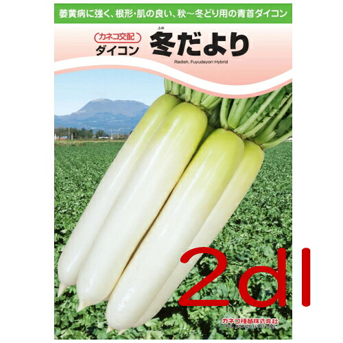 【入荷次第出荷】カネコ種苗　冬だより大根　２ｄｌ