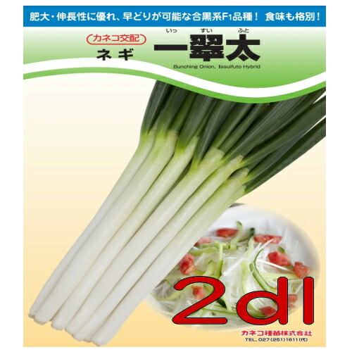 【入荷次第出荷】カネコ種苗　一翠太　葱　２ｄｌ｜激安ショップＥ・Ｔ・Ｍ