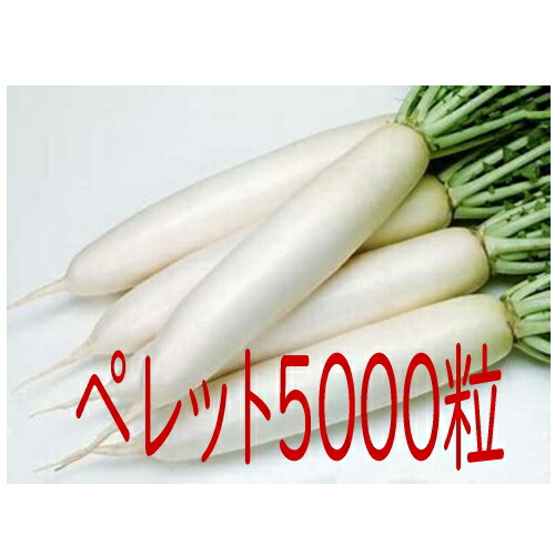 【入荷次第出荷】カネコ種苗　順冬　大根　ペレット５０００粒