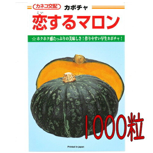 【入荷次第出荷】カネコ種苗 恋するマロン 南瓜 1000粒|激安ショップE・T・M