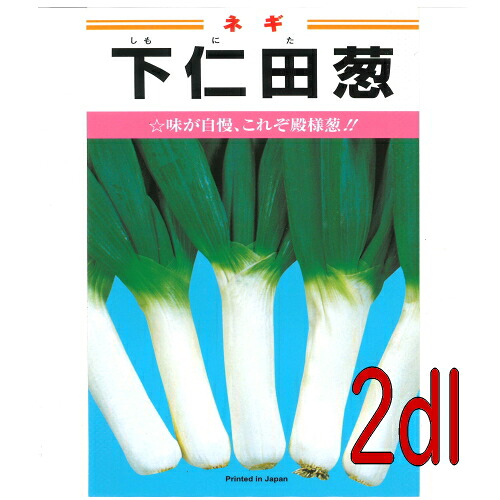 【入荷次第出荷】カネコ種苗　下仁田葱　２ｄｌ