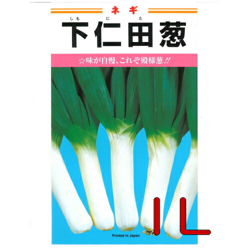 【入荷次第出荷】カネコ種苗 下仁田葱 1L|激安ショップE・T・M