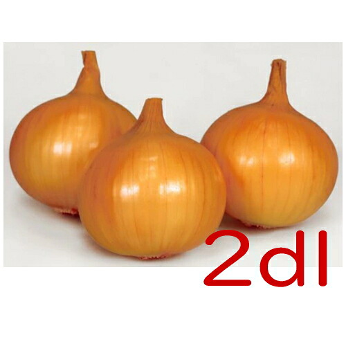 【入荷次第出荷】カネコ種苗　スワロー　玉葱　２ｄｌ｜激安ショップＥ・Ｔ・Ｍ