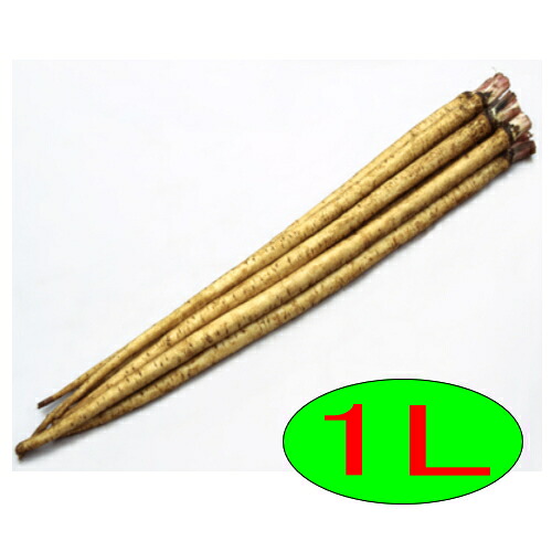 【入荷次第出荷】カネコ種苗　地皇　1L