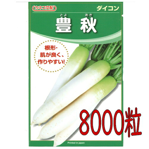 【入荷次第出荷】カネコ種苗　豊秋　大根　８０００粒
