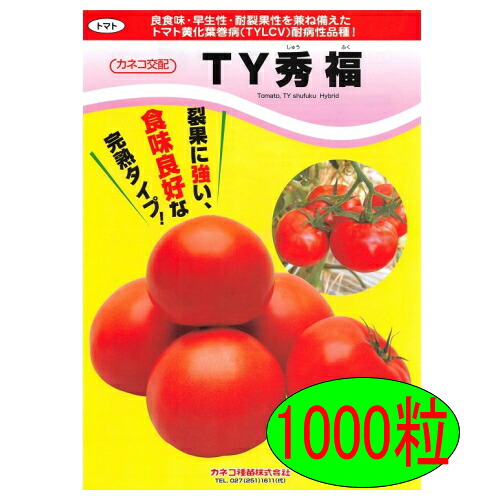 【入荷次第出荷】カネコ種苗 TY秀福 1000粒|激安ショップE・T・M