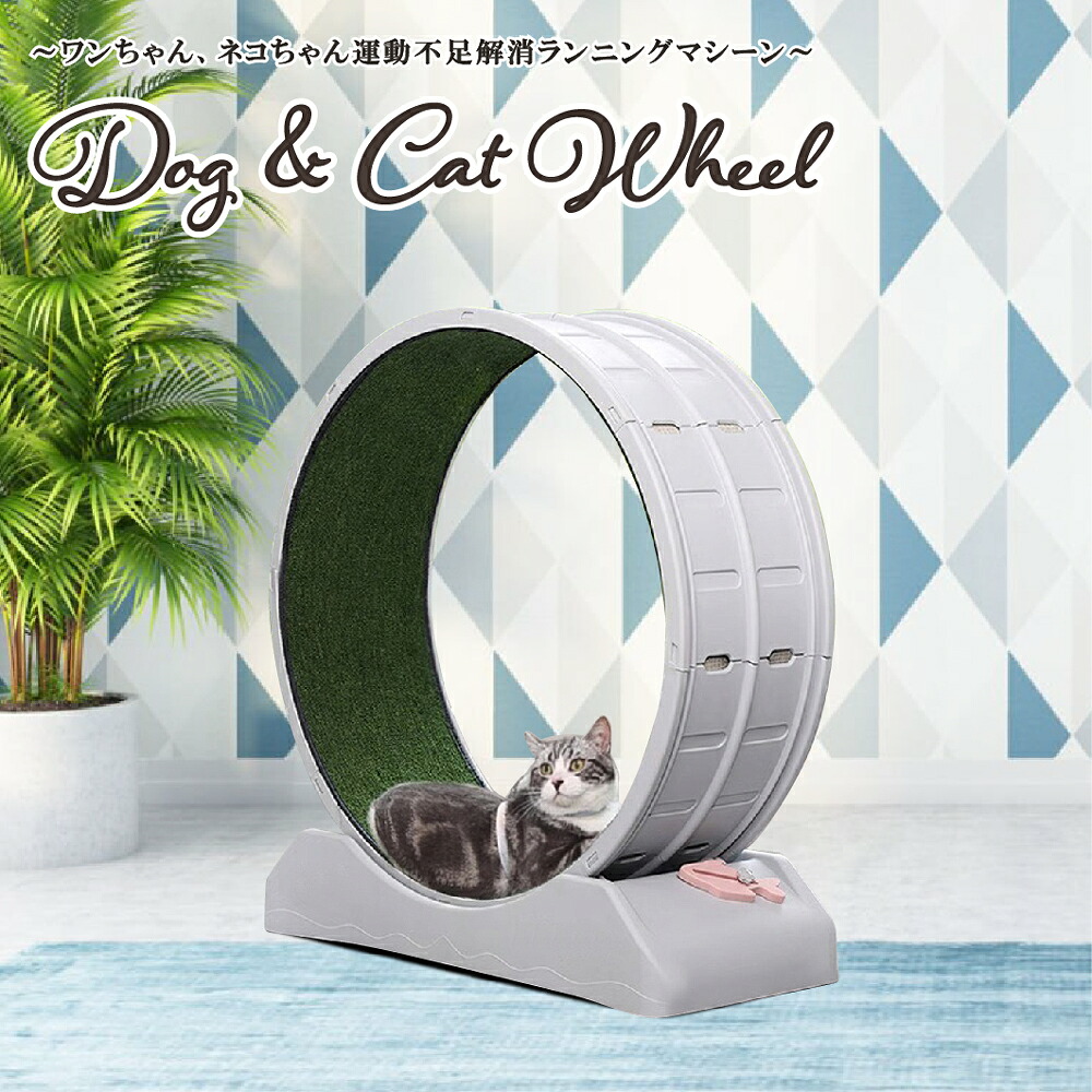 後藤家具 ペットの運動不足、ストレス解消回転ホイール！ABS樹脂タイプ！ DC-WHEEL-ABS