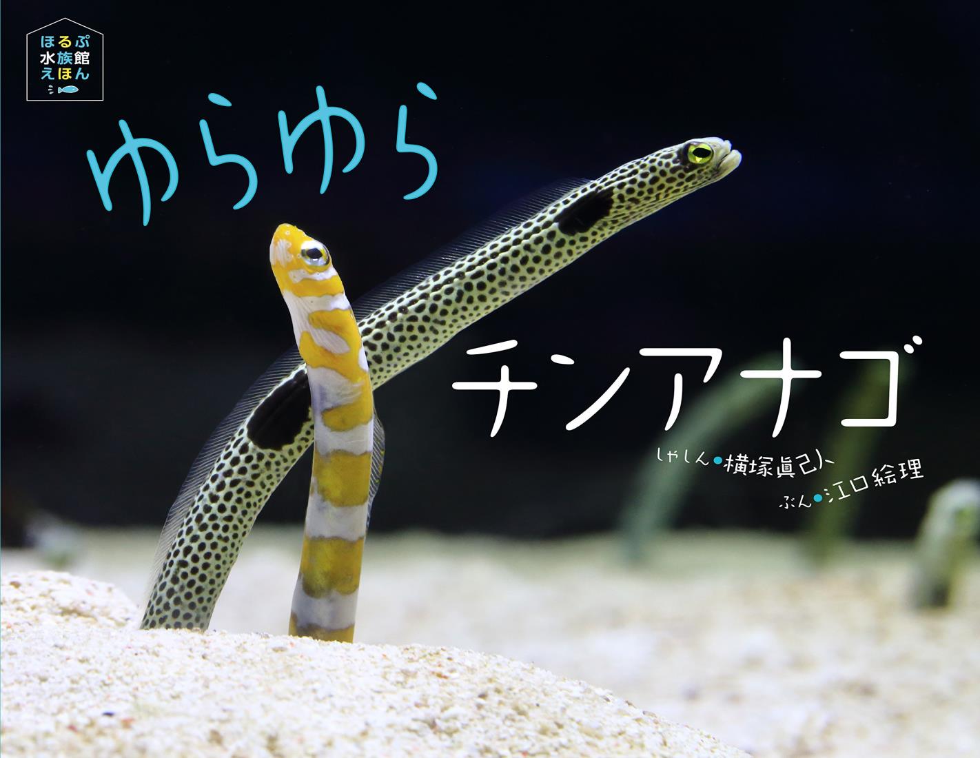チンアナゴ クロッツ やわらか湯たんぽ チンアナゴ＋ニシキアナゴ